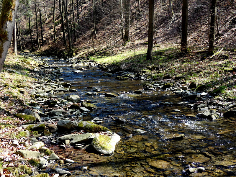 FotoGaleria – kwiecień 2025